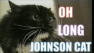 Talking Cat Saying 
