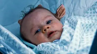 Virus Kills Most of Humanity And CausesAll Newborn Babies to Be Hybrids | Sweet Tooth (2021)