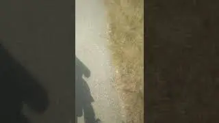 diy