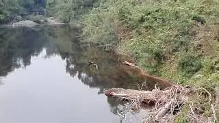 Haew Narok Waterfall Khao Yai National Park (Thailand)