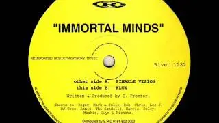 Immortal Minds - Flux