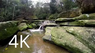 GOPRO: FLAT ROCK GULLY IN 4K