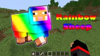 too rainbow sheep in minecraft