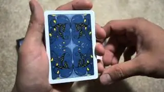 Bee Watermelon Deck Review