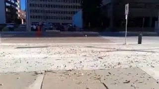 Wind blowing upon Dancing Leaves