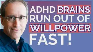 Why ADHD Brains Don&rsquo;t Need More Discipline and How to Use Smarter Systems to Boost Productivity