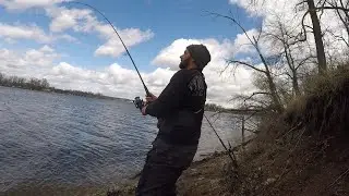 TONS of Spring Catfish from the BANK!