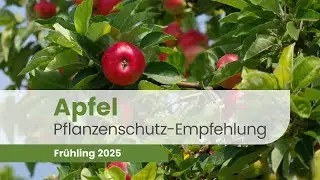 Pflanzenschutz im Apfel – DIESE Fehler vermeiden! | Apfel 2025