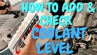 HOW TO ADD & CHECK COOLANT LEVEL IN CAR RADIATOR: DIY: BASIC CAR CARE & MAINTENANCE: SHAHZAD KHAN