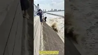 Don&rsquo;t Get Too Close! Shocking Moments from the Qiantang River Tide Watch！