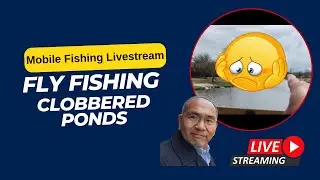 Try Fly Fishing when a pond has lots of 