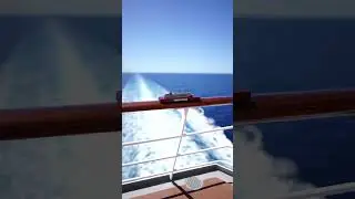 #msc #macsinfonia #cruiseship