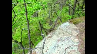 Zaleski State Forest - Bottom Loop (HD)