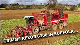 4Kᵁᴴᴰ February 2025: Wickham Beet Group's 2024 Grimme Rexor 6300 beet harvester working in Eyke...