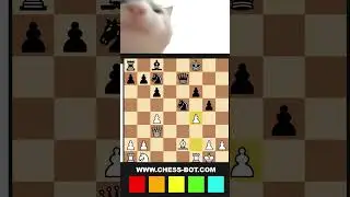 Best Chess Assistant in 2025? 👑