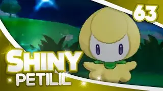 Pokemon [XY] Shiny Hunting - #63 - 39 FS Encounters SHINY PETILIL! [FEAT JAYYTMOMMA]