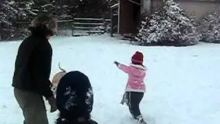 Dog HATES SNOW!