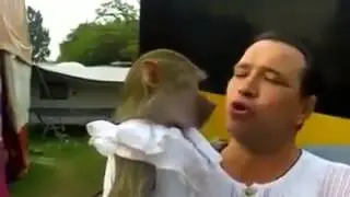 funny monkey 57243