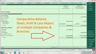 NEW Advance Function Tally 2023 COMPARATIVE Balance Sheet P&L OF  MULTIPLE COMPANIES,BRANCHES HINDI
