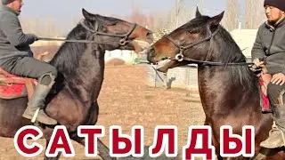 9 января 2026 г.