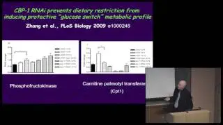 A Hypothalamic Transcriptional Complex Linking Aging, Dietary Restriction, Obesity, and Diabetes