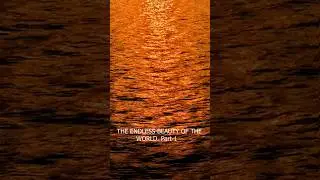 The Endless wander of the world-Travel-Tour