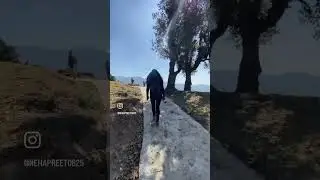Churdhar Trekking | Trekking shots | Forest Views| Nehapreet Kaur #mywisdomdiary