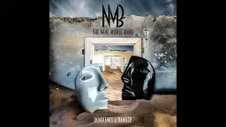 The Neal Morse Band / Innocence & Danger