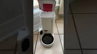 Автоматическая кормушка для домашних животных PETKIT с HD-камерой &mdash; настоящий прорыв для занятых ...