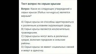 Какое из следующих утверждений о серых крысах (Rattus norvegicus) является верным?
