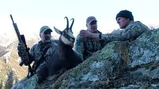 Chamois Hunt with Glen Dene & Stealth Films