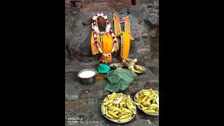 🏵️Jatipura | ગિરિરાજ મુખારવિંદ મંગળા આરતી દર્શન સાથે આનંદમય સવાર🌹श्री गिरिराजथरण की जय 🌹 | #viral |