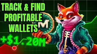Wallet Hunting Made Easy: Discover Profitable Solana Tokens with GMGN.AI