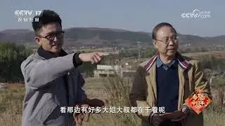 《大地讲堂》 20260126 光影里的乡土情 1 | 农业致富经 Agriculture And Farming