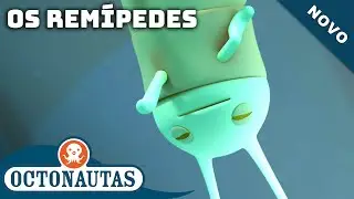 Octonautas - Os Remípedes | Episódio inteiro 13 | Primeira Temporada