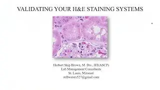 Ensuring the Reliability of Your H&E Staining Systems: Validation and Quality Control