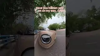 #CuteMoments#WholesomeVibes#HideAndSeekFun#FeelGood