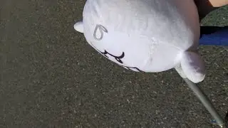 King boo learns how to drive a scooter