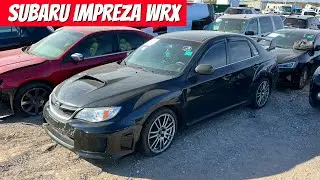 IAA Walk Around and Live Bidding!! We Won!! Subaru Impreza WRX 11-18-21