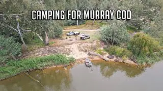 Murray Cod Fishing, NOT WHAT I EXPECTED?!