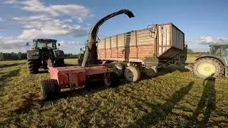 3rd cut silage in Latvia, Mazlauri #fct1060 #Johndeere #silage