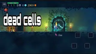 Is Anyone Still Playing Dead Cells Daily Challenges in 2026?