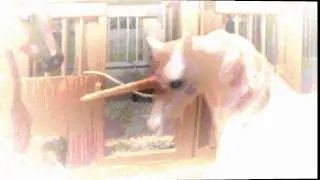 New intro #1 for Unicorn Forest Stables
