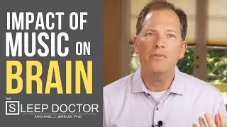 The Sleep Doctor How Does Music Impact Your Brain and Body?