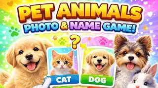 Learn Pet Names with Pictures 🧠📸  #Shorts     #Petanimals #video