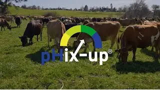 How pHix-up Transformed Andrew Shaw's Dairy Herd