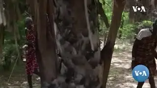 Kenya&rsquo;s Pastoralists Bear the Biggest Brunt of Disasters.