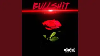 Bullshit