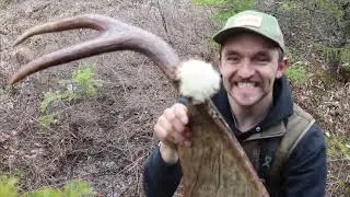 Hunting Highlights & Huntstock 2023 - Day 2 | Beyond the Boundaries