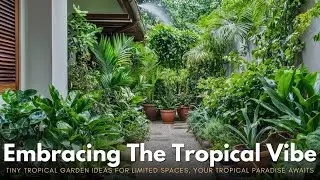 Tiny Tropical Garden Ideas for Limited Spaces